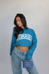 Priority worrior longsleeve turqoise