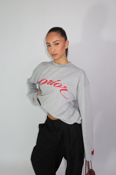 Prior longsleeve grey